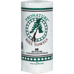 Advantage 2 Ply Paper Towels